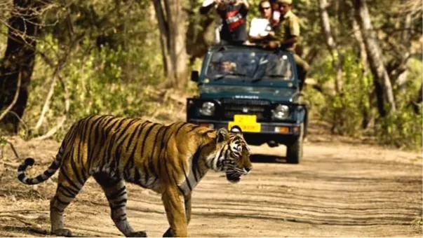 Jim Corbett National Park 